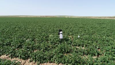 New Methods And Technologies Help Irrigation Systems Become