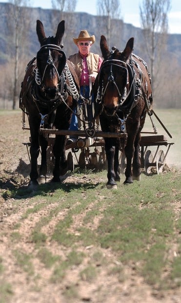 Farming The Old Way