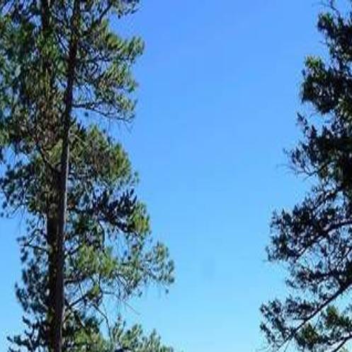 Some Popular Idaho Campsites Book Up In Seconds So How Can You Reserve A Spot Outdoors Magicvalley Com