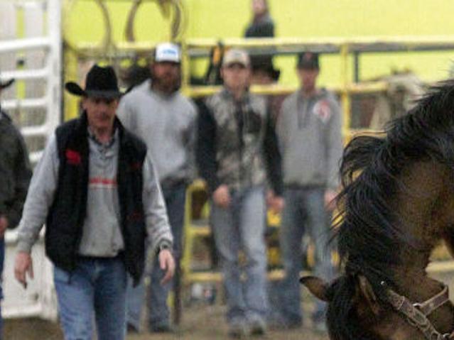 Part Of Being A Cowboy Learning Bull Bronc Riding Local Magicvalley Com
