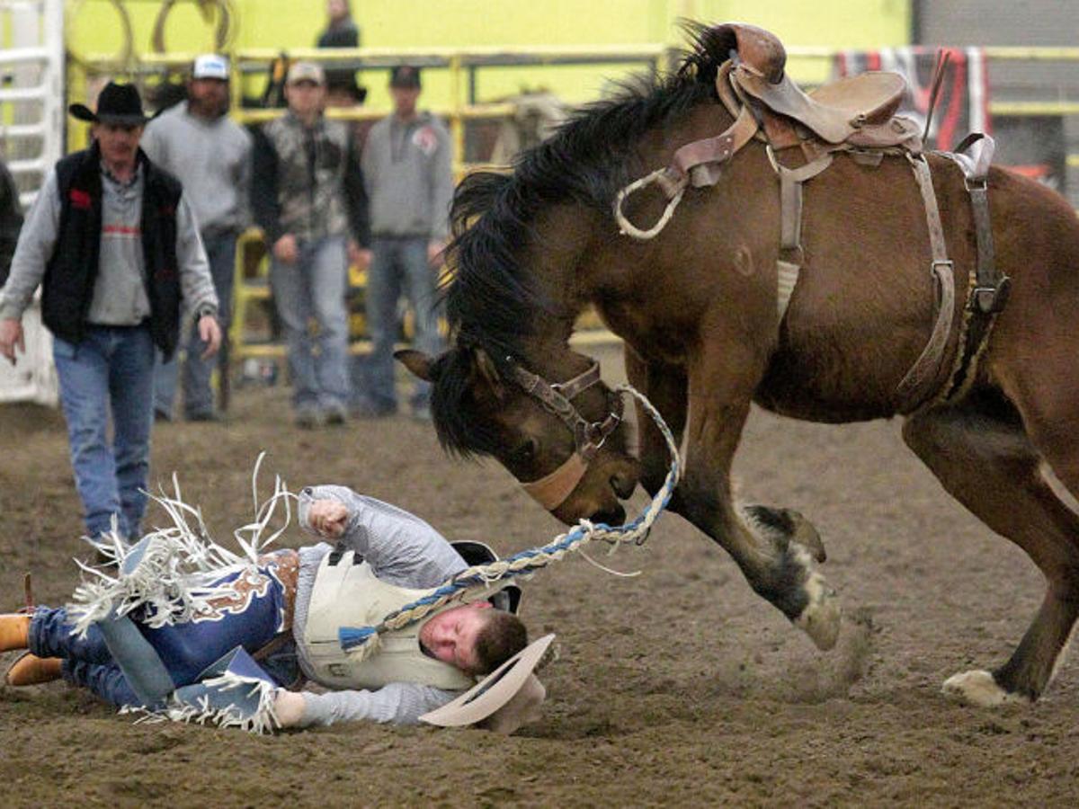 Part Of Being A Cowboy Learning Bull Bronc Riding Local Magicvalley Com