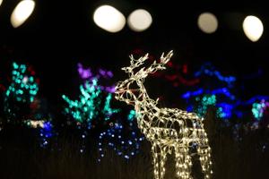 What's up this week in Magic Valley?