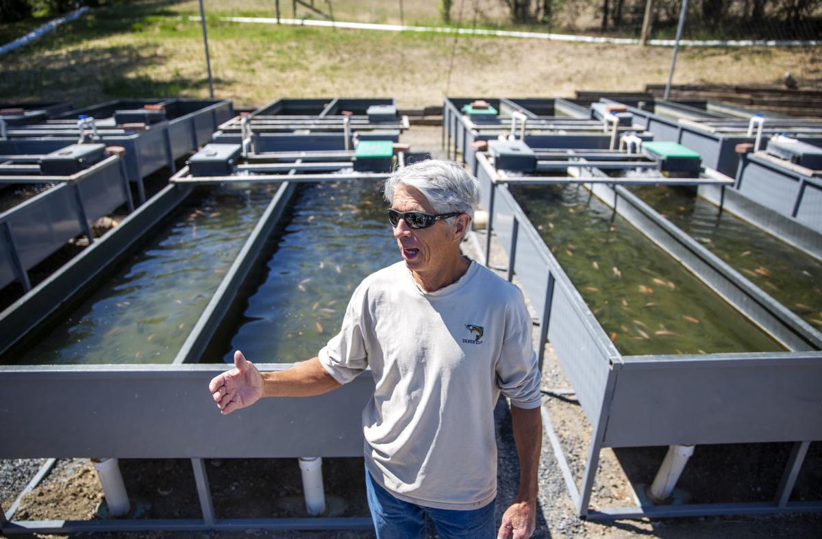 Aquaculture industry takes a hit with coronavirus closures