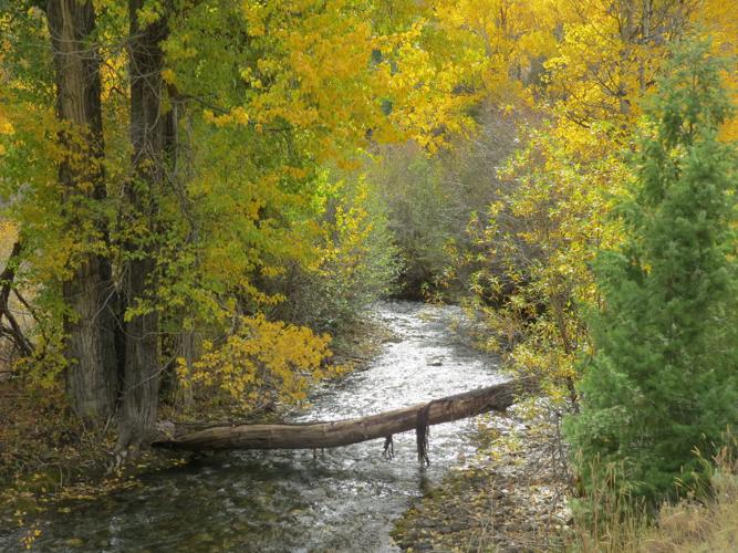 A fall lover's guide Admiring nature's fashion in Sun Valley