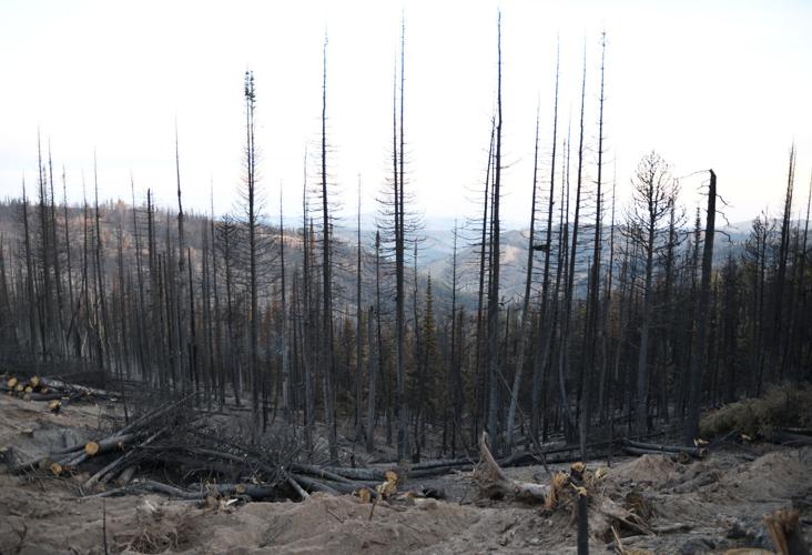 The Badger Fire