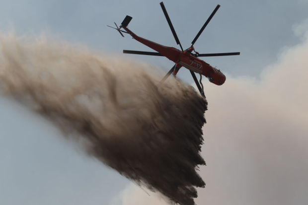 Elk Fire