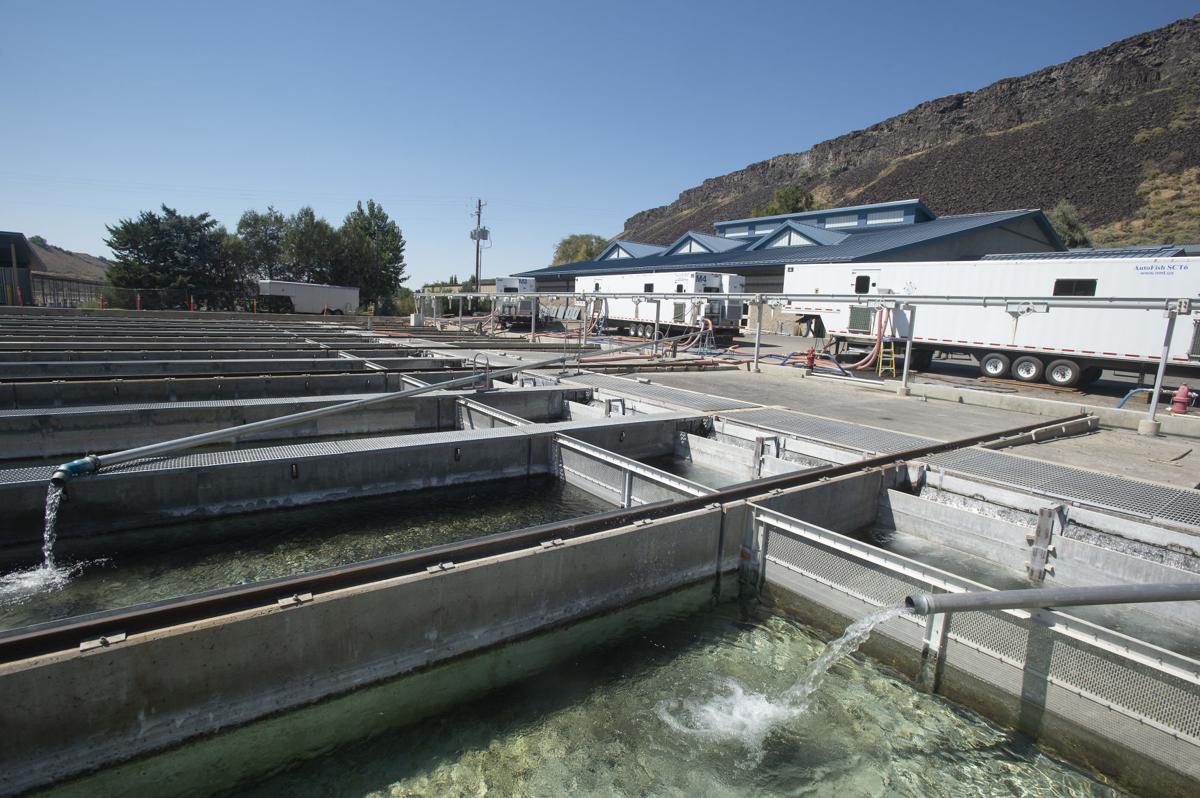 Niagara Springs Fish Hatchery