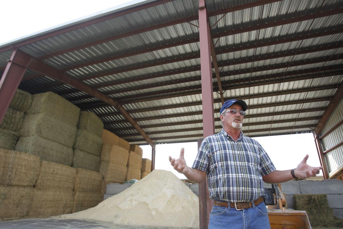 Dairymen honored for industry work