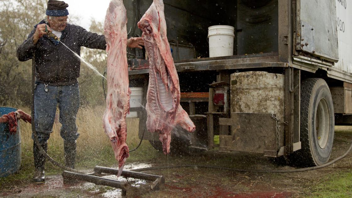 Dirty Jobs Video Mobile Butcher Kills A Pig