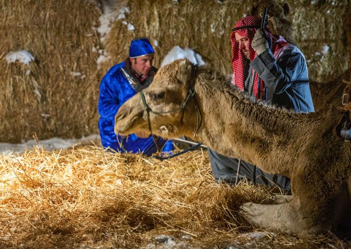 Albion live nativity