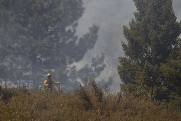 Elk Fire