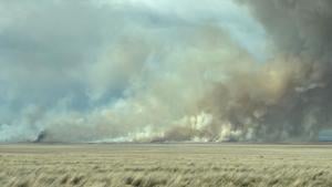 2026 Rangeland Fall Forum in southern Idaho to explore post-fire recovery. Registration ends Friday