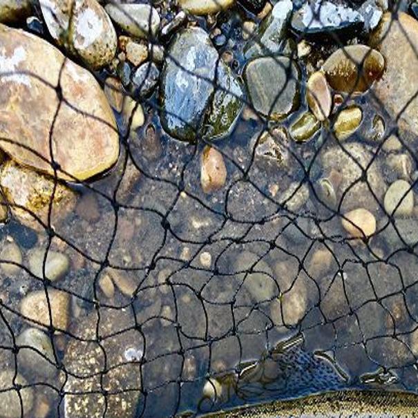 Big Wood River Offers A Gem In The Idaho Wilderness Outdoors Magicvalley Com