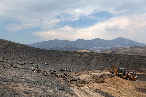 McCan Fire
