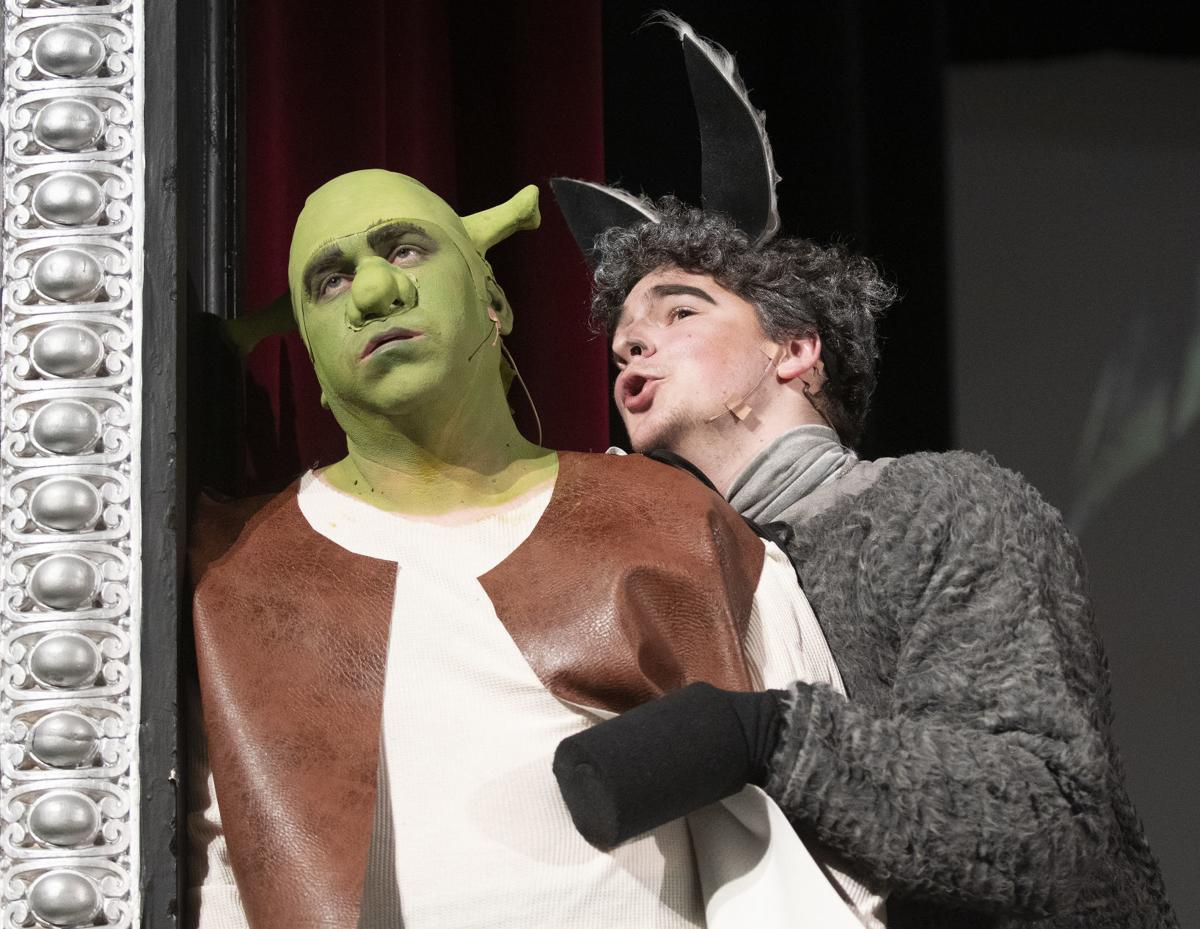 Shrek Brings Music And Magic To The Stage Southern Idaho