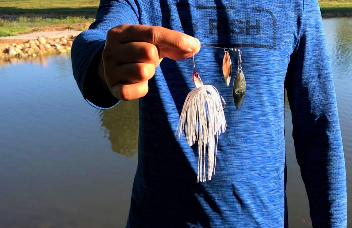Spinnerbait