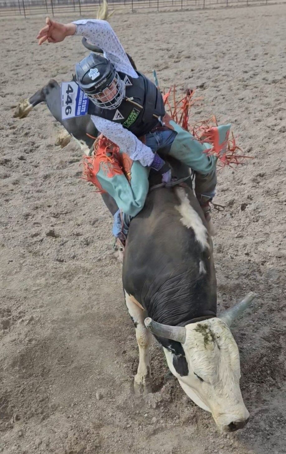 Bullistic bull riding helmets, - Troyer's Saddlery Inc.