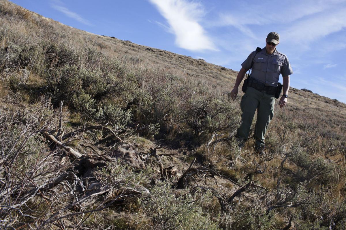 Average Year for Poaching, Fish and Game Officials Say