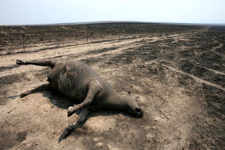 The fire problem