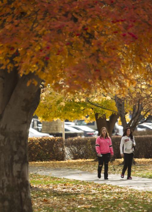 CSI enrollment down