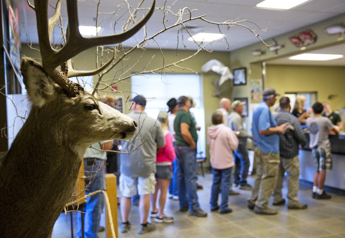 Crazy rush for Sawtooth Zone elk tags Outdoors and Recreation