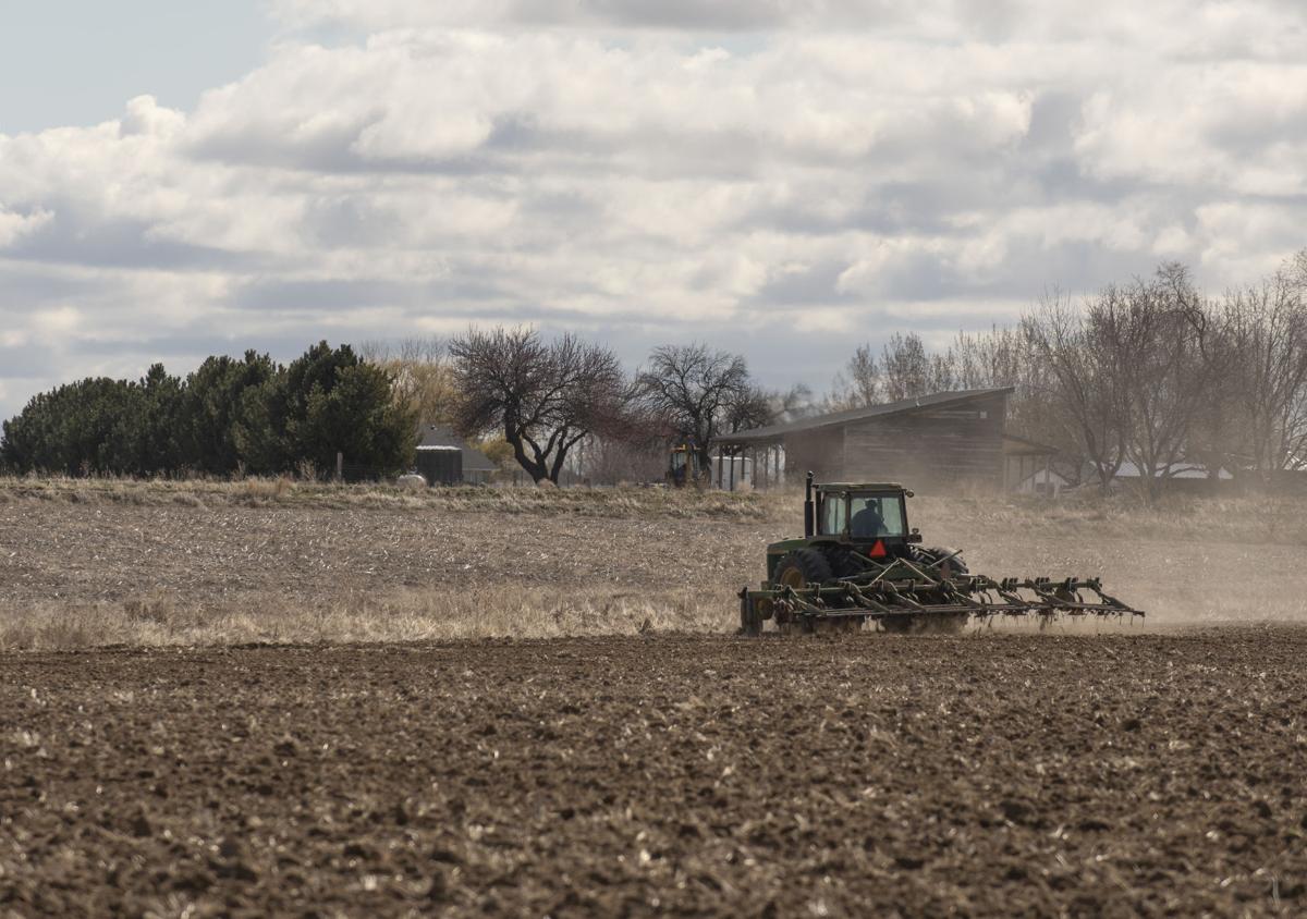 Idaho's No. 1 in West in per capita farm