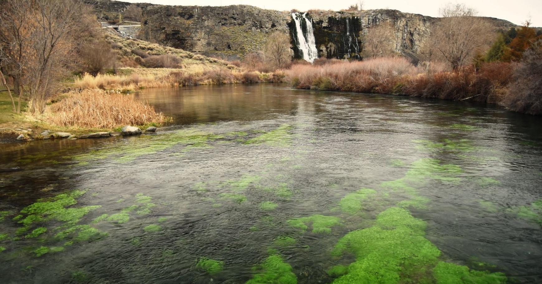 Idaho governor creates new council to recommend outdoor projects - Vimarsana News