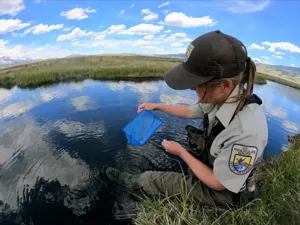 US Fish and Wildlife staff down more than a third nationwide, 35% in Idaho since Trump 2.0