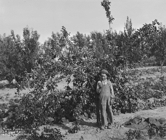 Hidden History: Clarence E. Bisbee, ag photographer