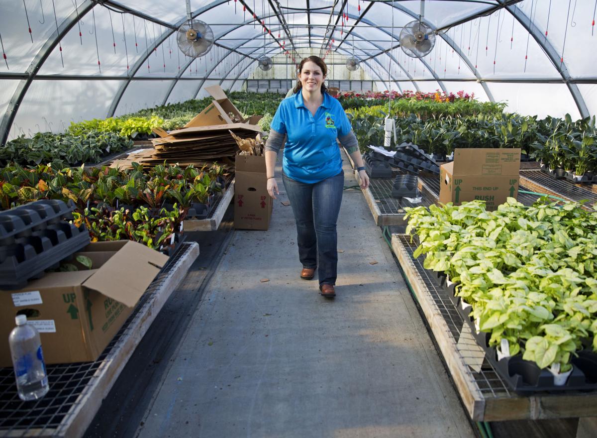 Moss Greenhouses keeps to its roots