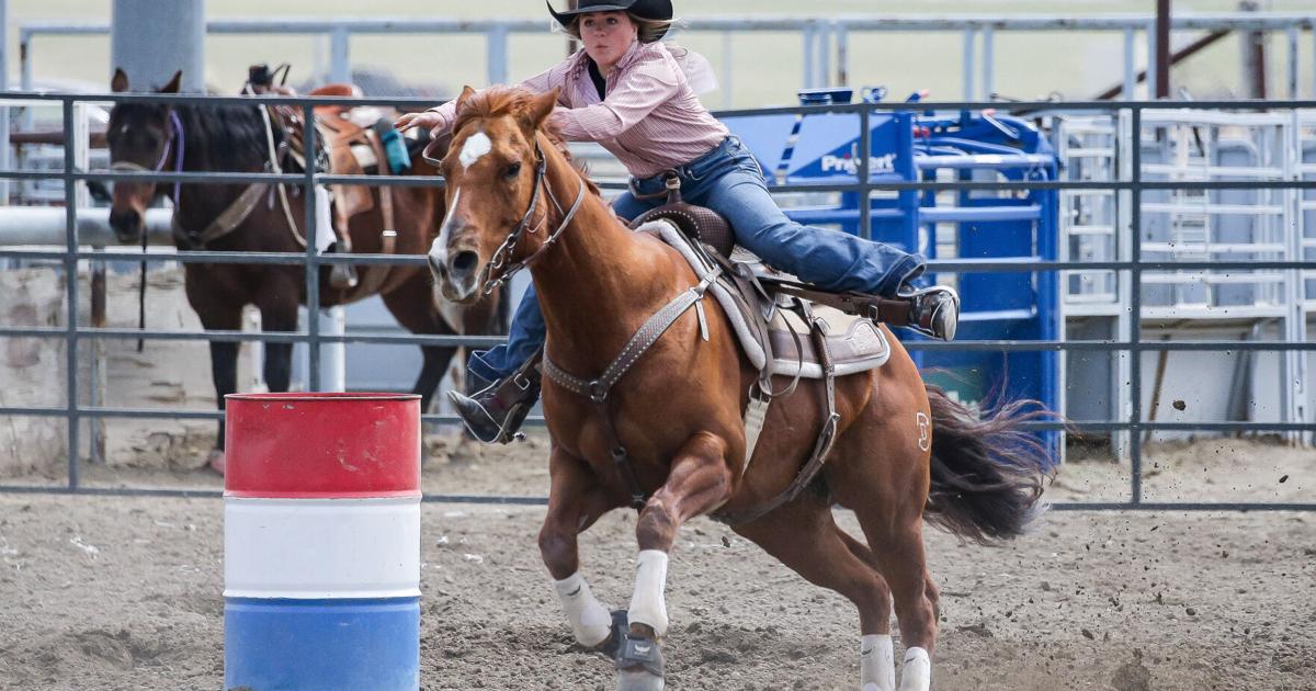 Mike Zebarth Rodeo New year, same results: Bott, Zebarth among winners at District 6 ...
