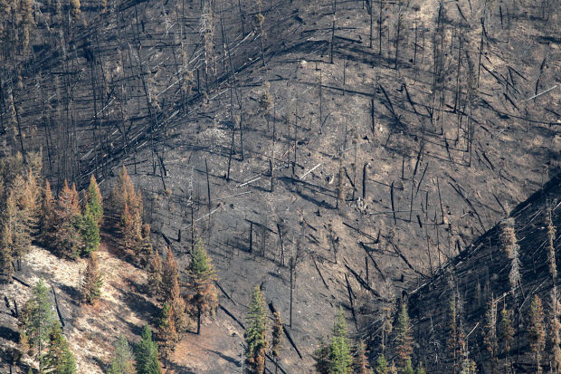 Kelley Fire