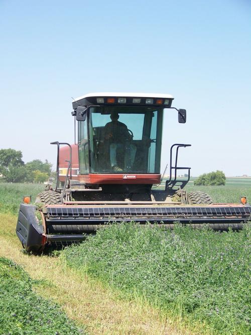 Hay Crop Looks Good But Not Worth Much Southern Idaho Agriculture News Magicvalley Com Beautiful day for #swathing in #hays #alberta @dowagro !!! hay crop looks good but not worth much