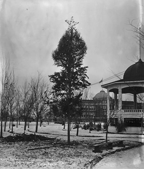Hidden History A Holiday Scene From Early Twin Falls Complete With A Decorated Sagebrush Local Magicvalley Com