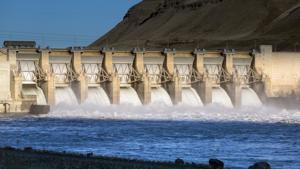 Renewed legal battle ramps up over Columbia Basin dams and salmon