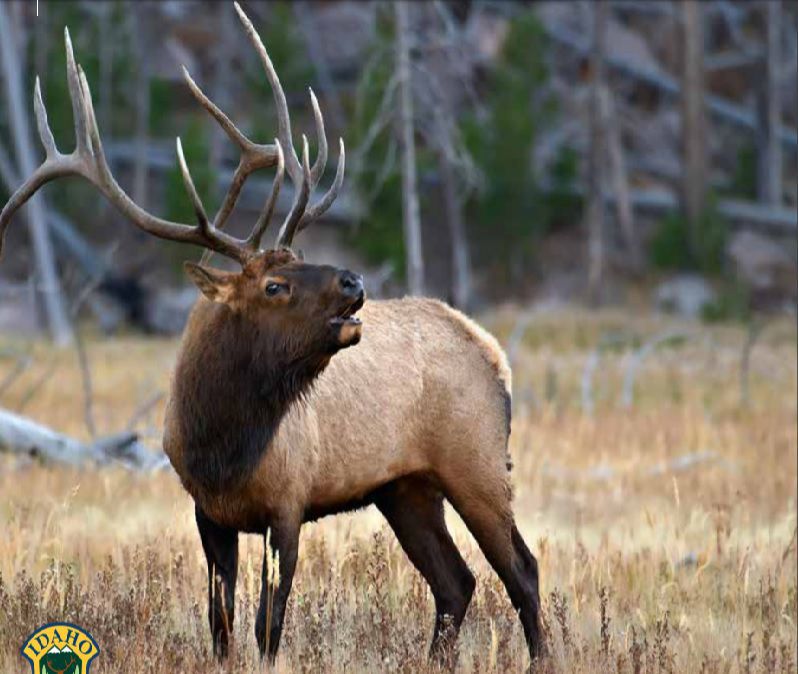 Fourteen Idaho hunters draw Super Hunt tags