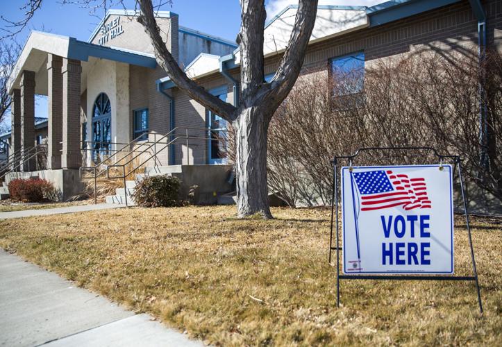 Casting your ballot
