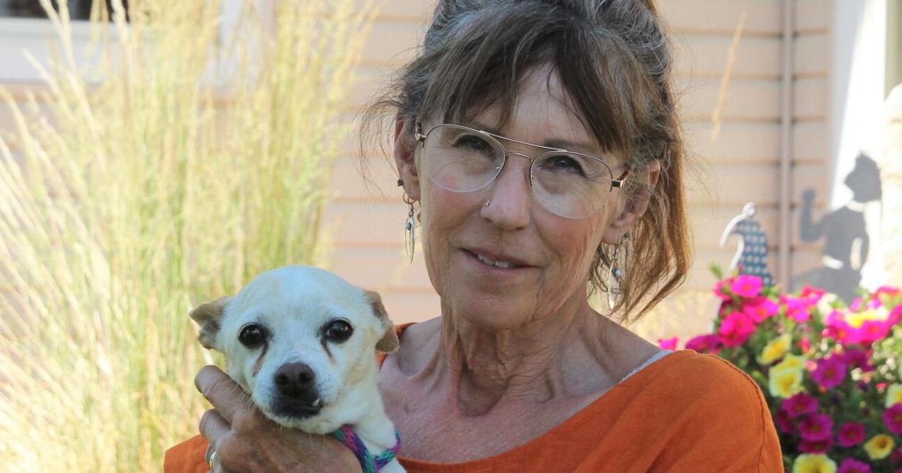 Shelter director: Pick up your pets - Vimarsana News