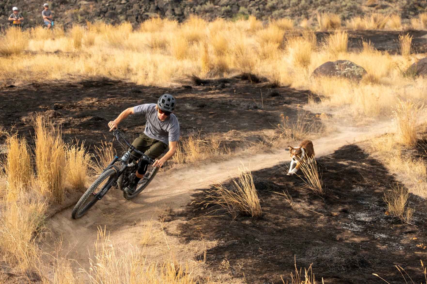 valley of fire mountain biking