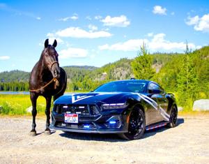 Voting underway as ISP competes for best-looking cruiser