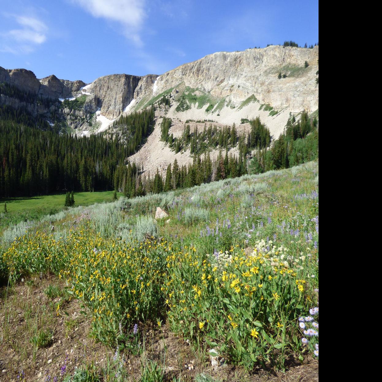 Hiking Raft River Mountains Offers Incredible Landscape