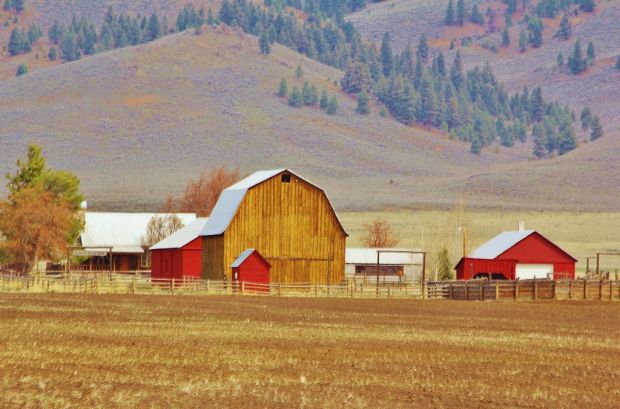 Gallery: Barns Of Southern Idaho | Southern Idaho Local News ...