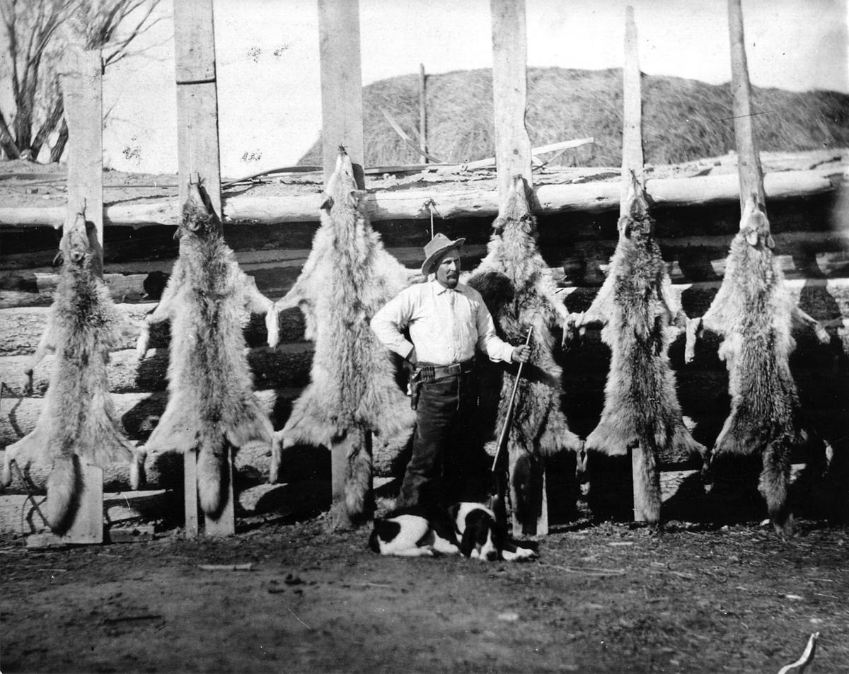 Life on the range Early history of wolves in Idaho