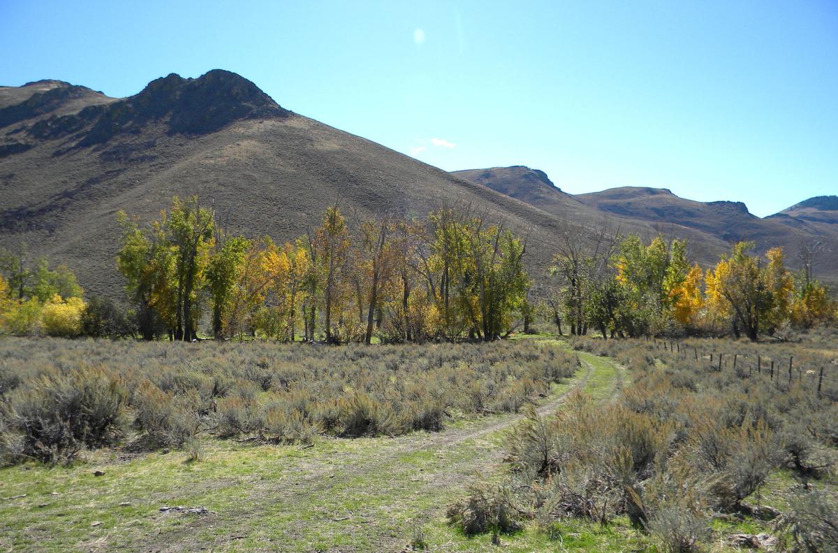 Cenarrusa Ranch