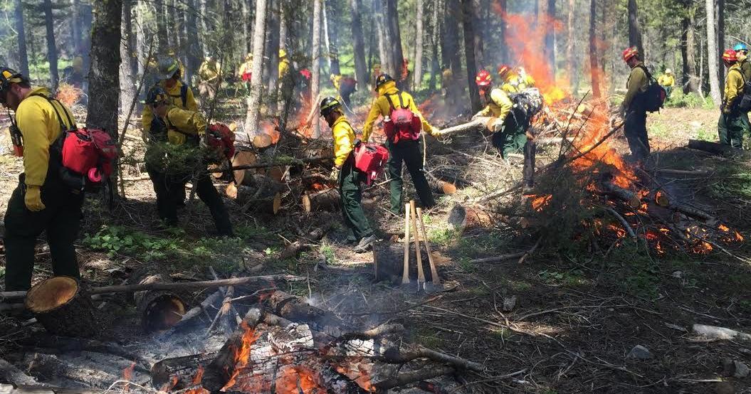 Rookie Firefighters Test Their Skills Before Fire Season