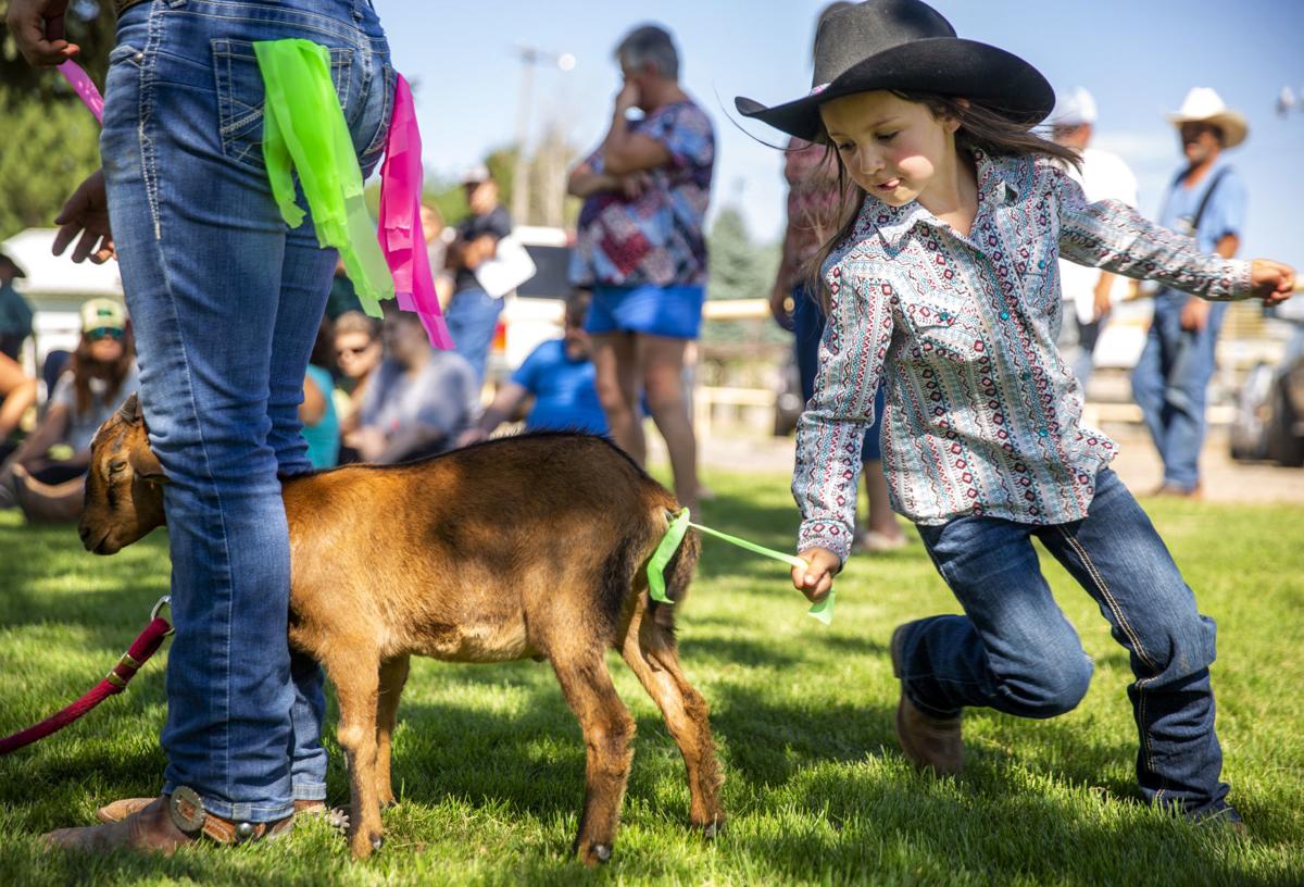 Gooding County Fair and Rodeo fun begins Wednesday Local