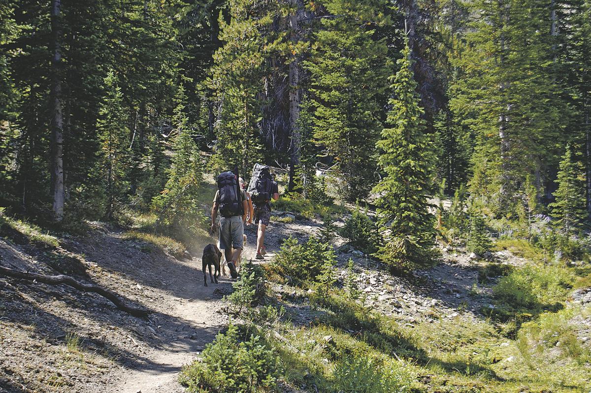 Chamberlain Basin boasts amazing views, accessible hike Outdoors and