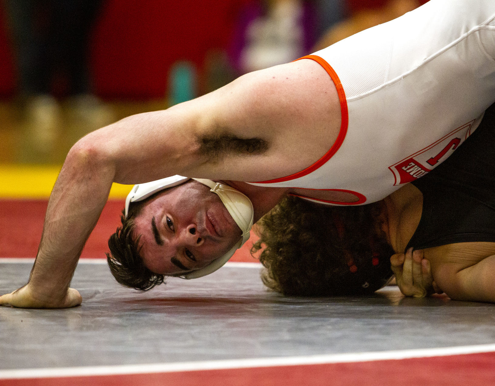wrestling world cup 2019 live stream