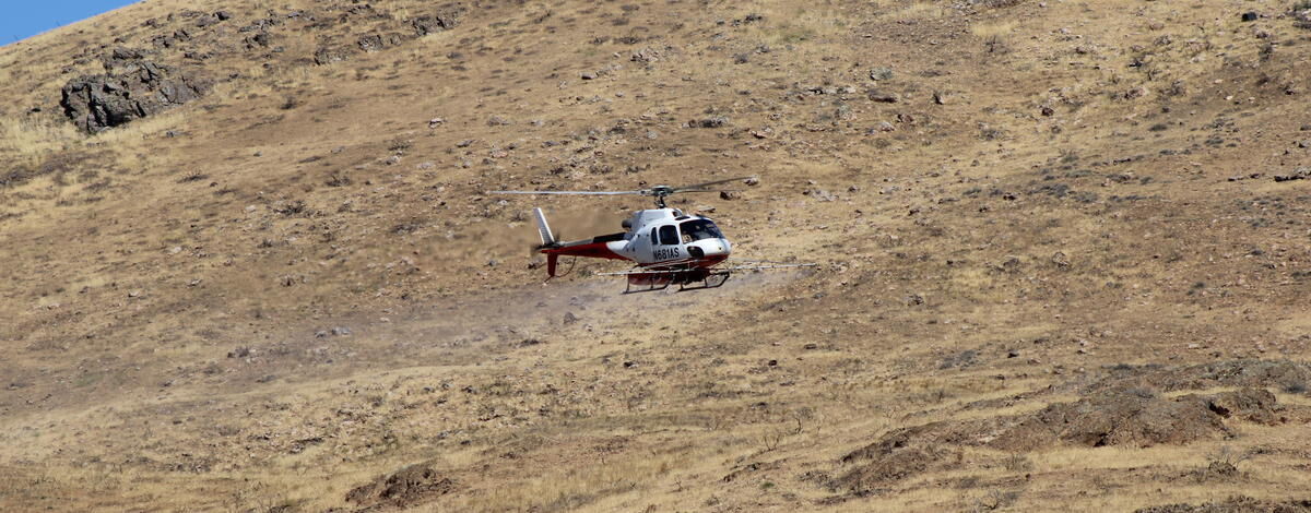 Low-level aerial spraying flights to occur in the Magic Valley Region beginning Sept. 1
