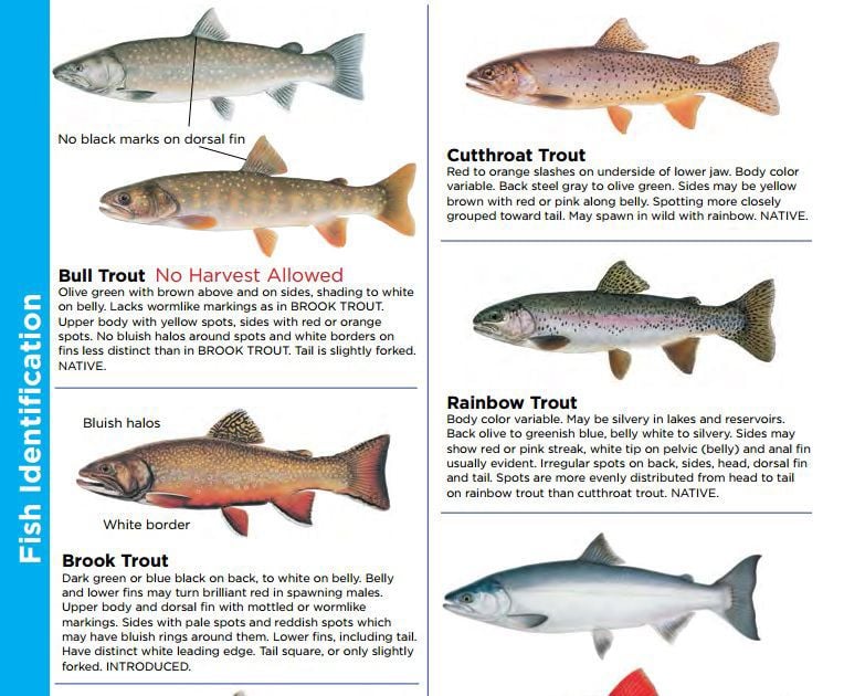 idaho fish and game trout stocking schedule